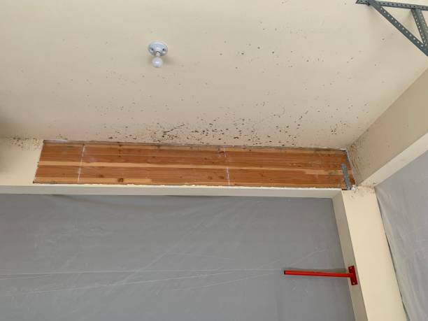 Asbestos and Lead Testing During Mold Inspection in Hughson, CA